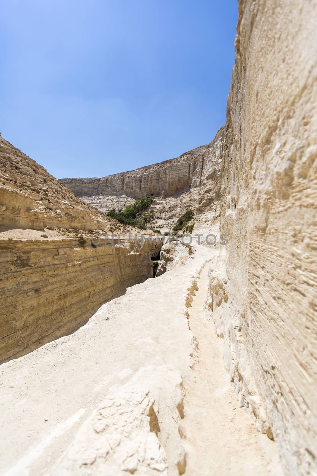 landscape of deep gorges in the Negev desert