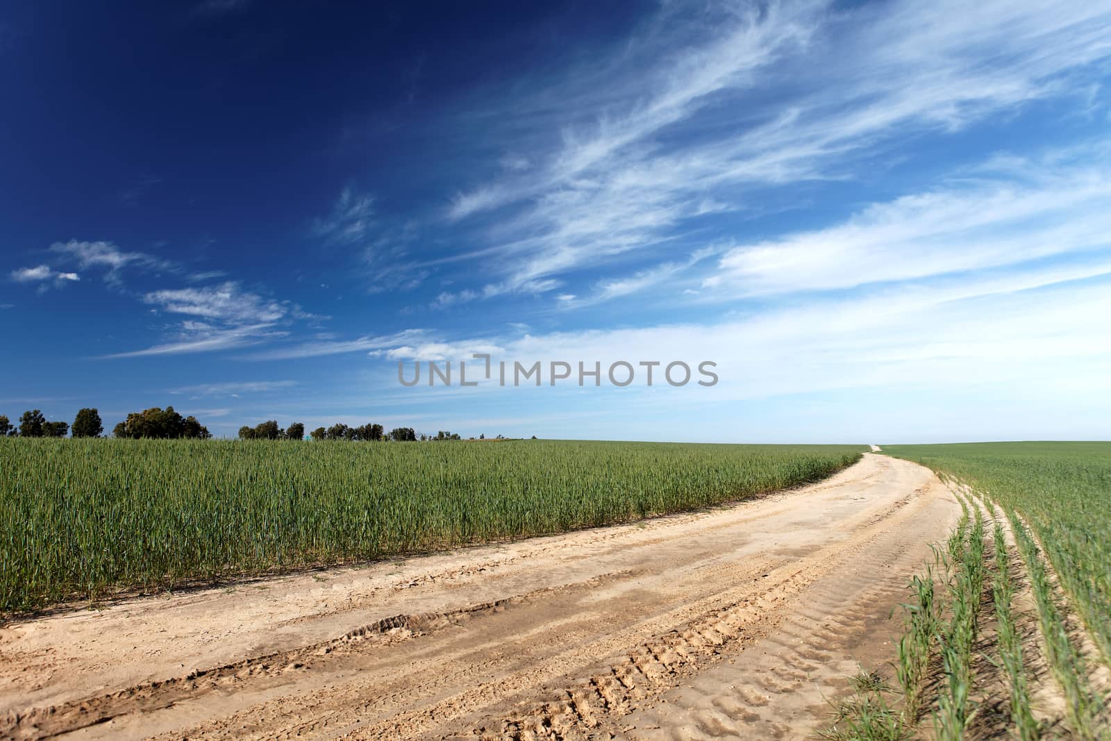 landscape road through the field in the sky