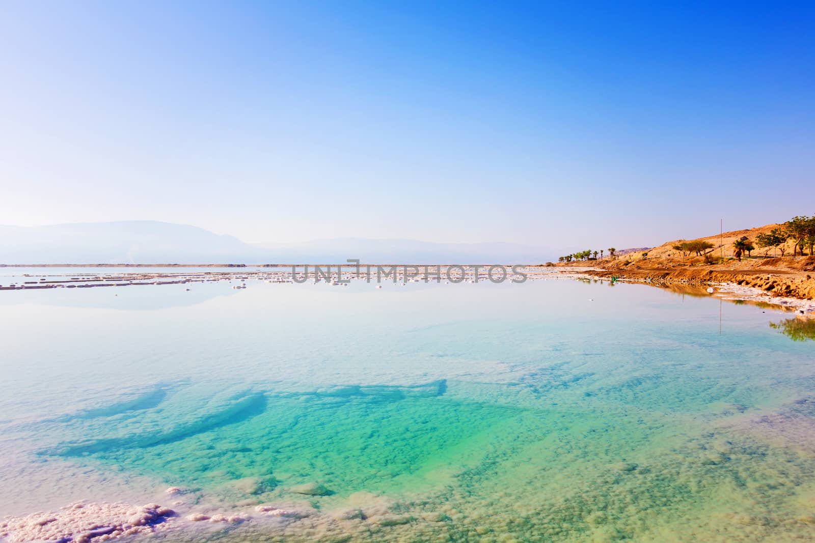 Landscape Dead Sea coastline in summer sunny day