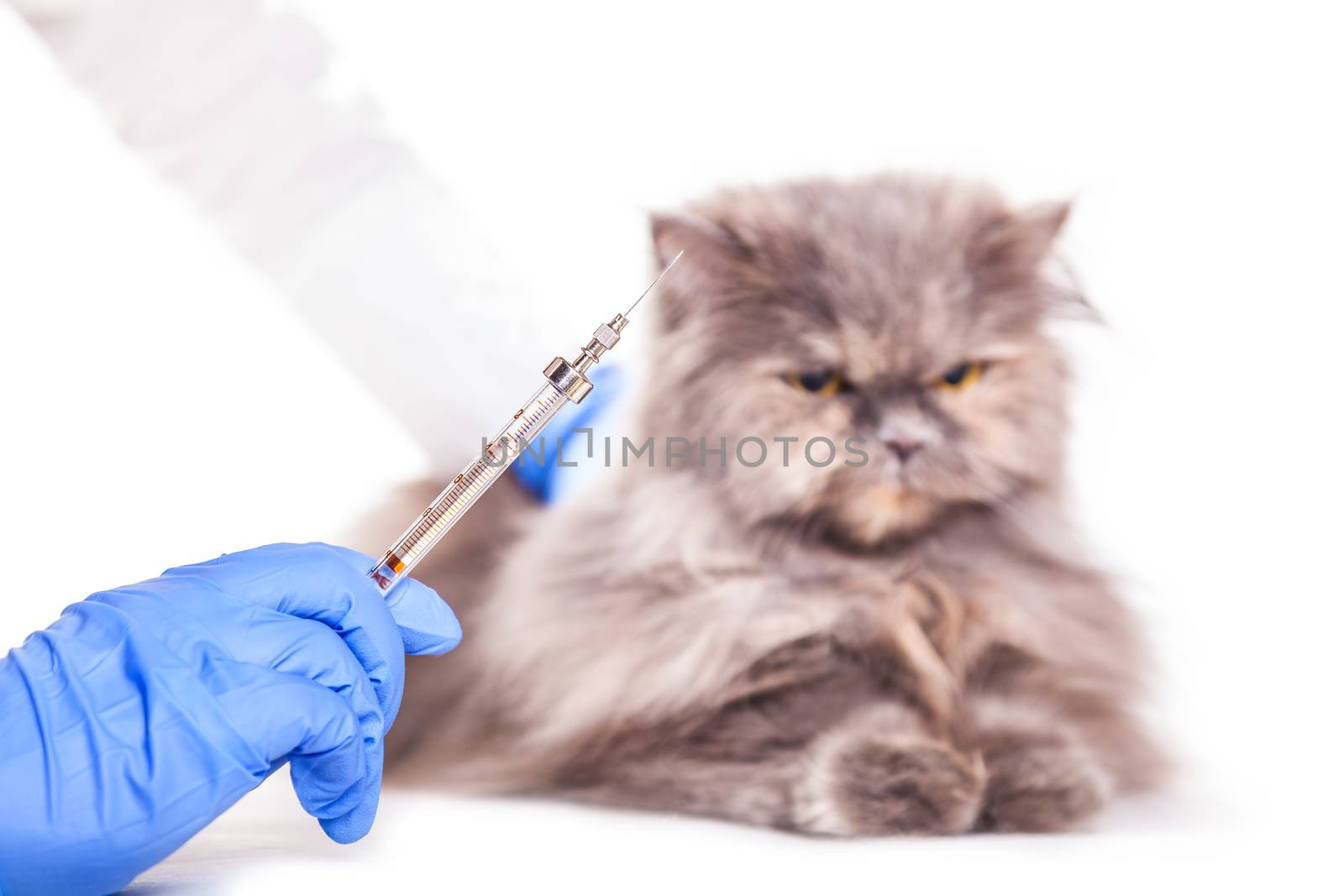 vaccinated animals in a veterinary clinic, a medical background
