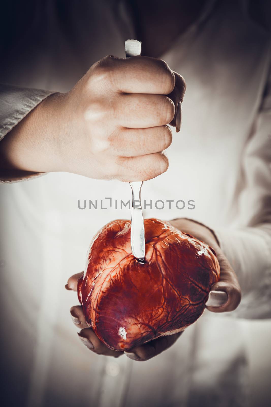 devoted heart abstract creative background