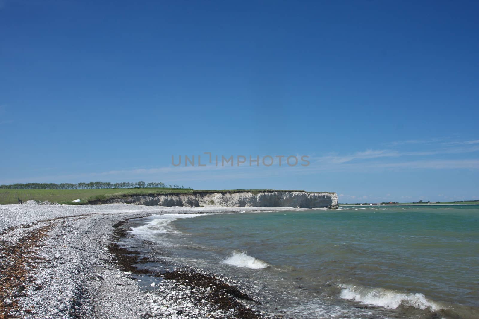 Scene from Sangstrup Klint in Denmark