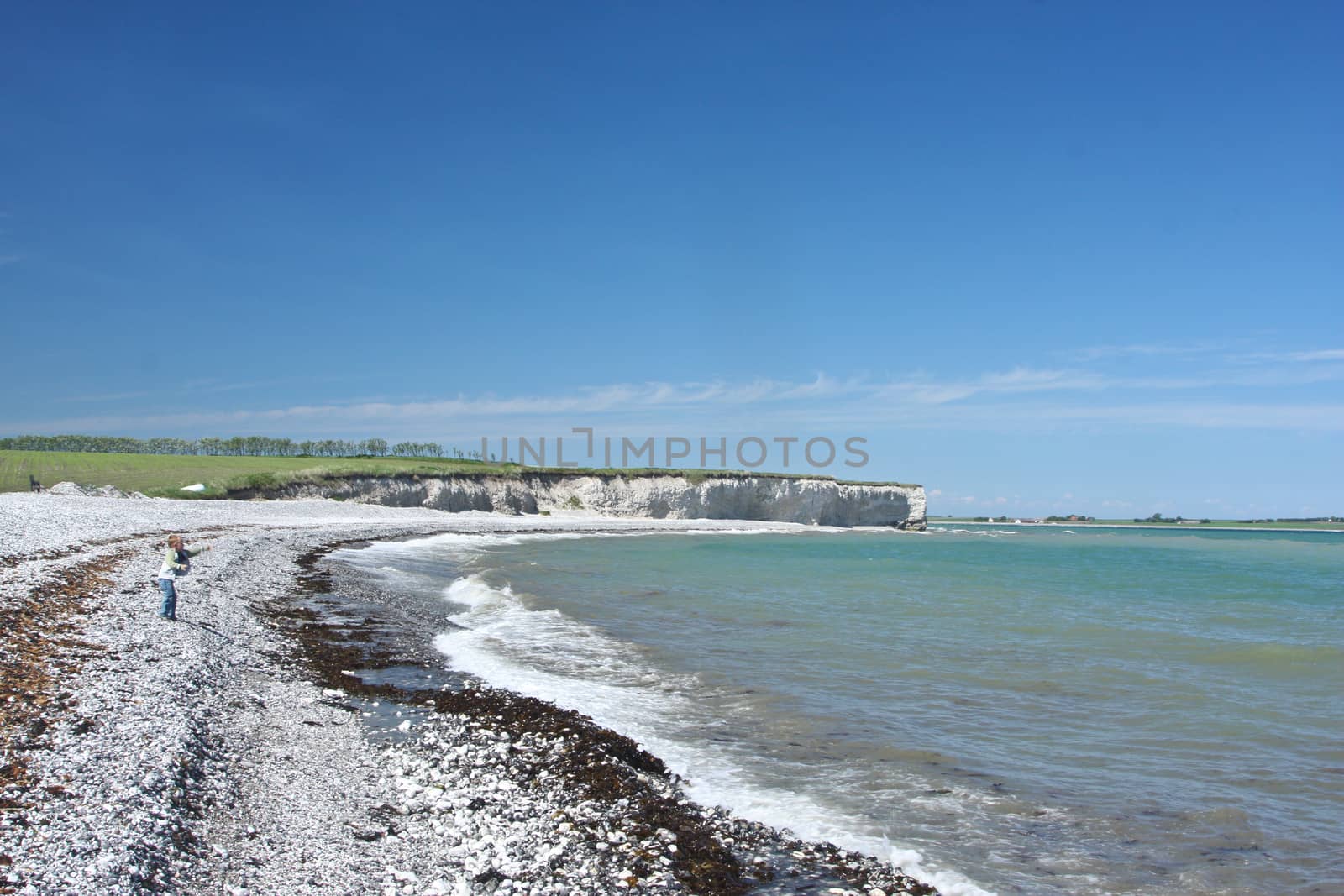 Scene from Sangstrup Klint in Denmark