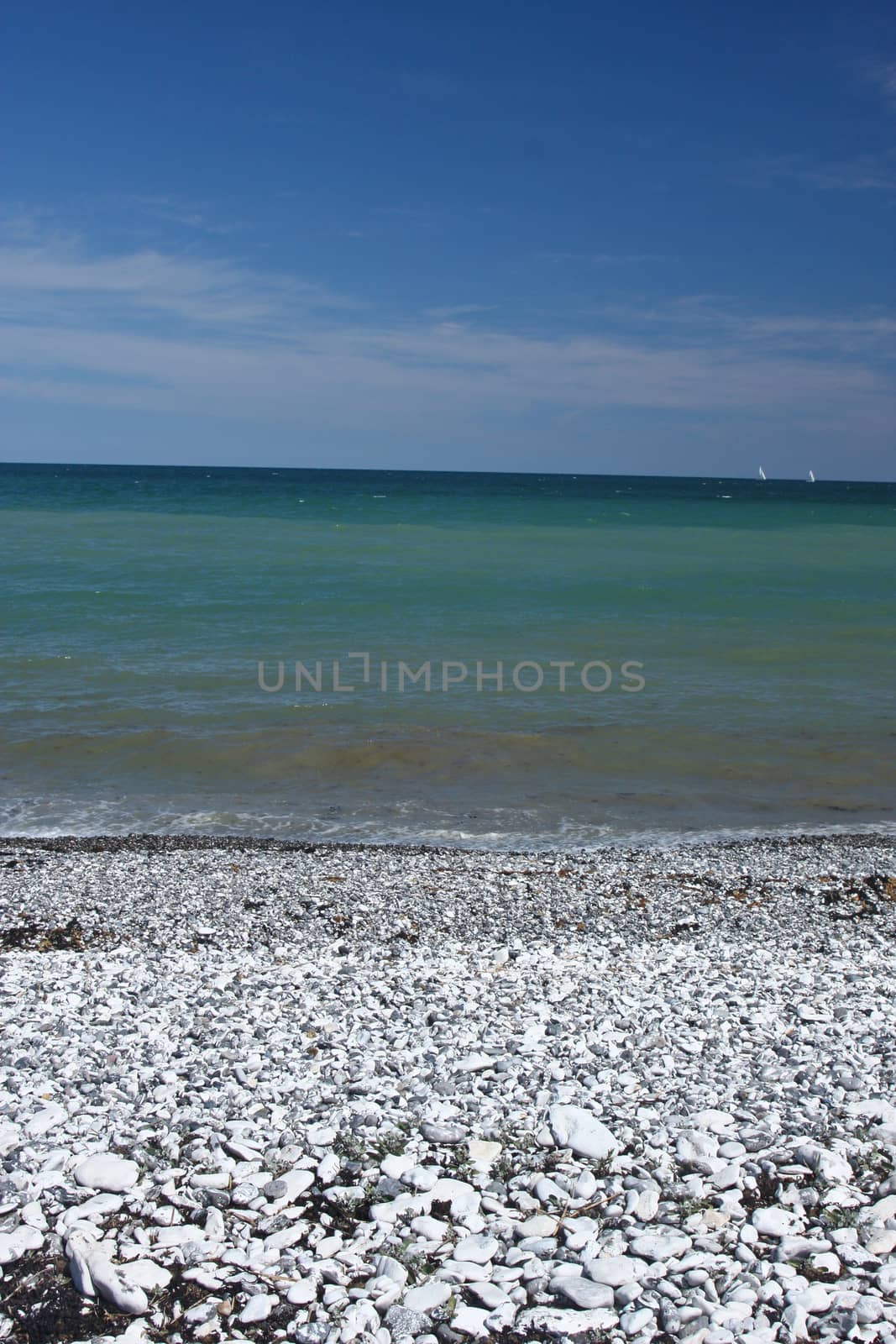 Scene from Sangstrup Klint in Denmark