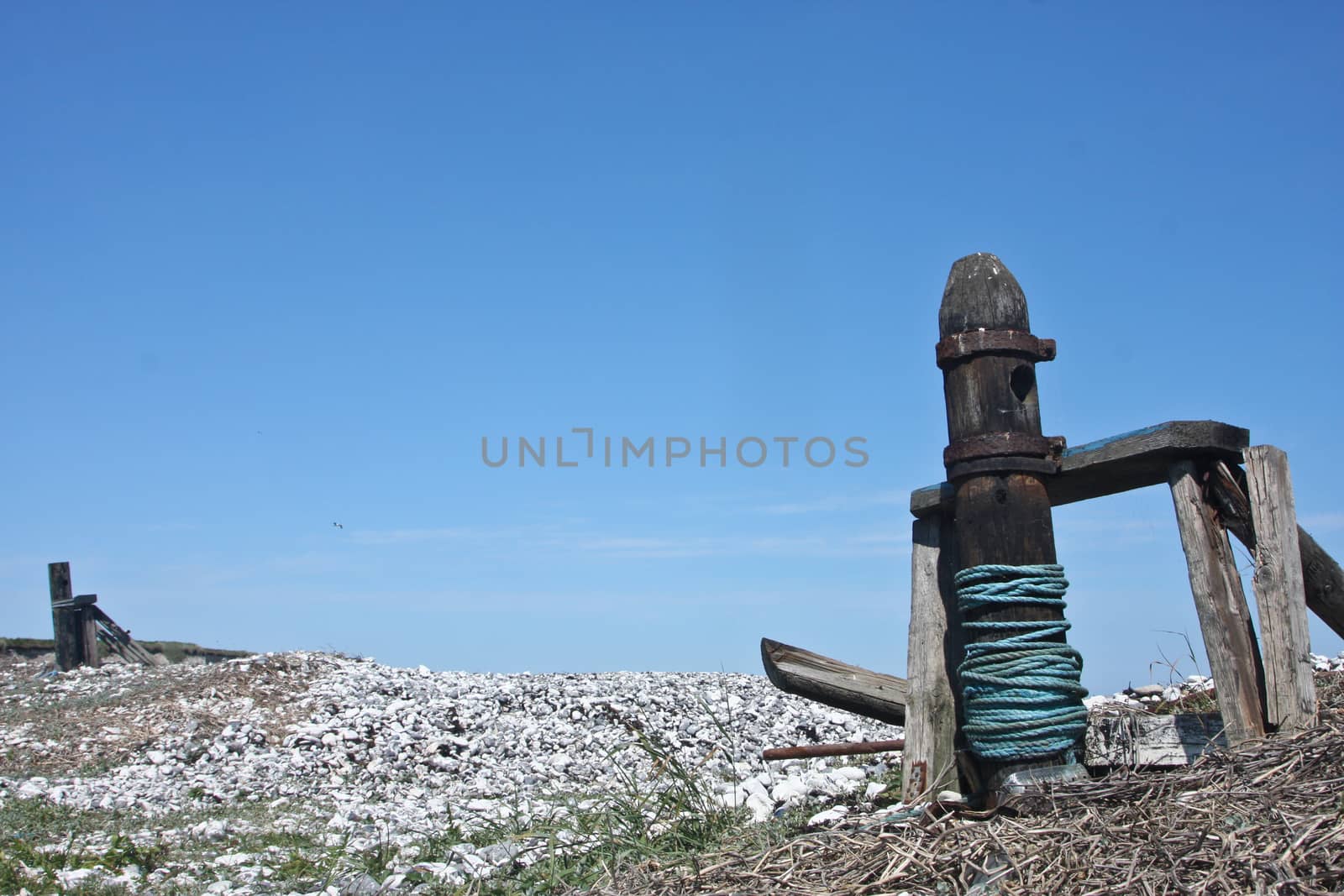 Scene from Sangstrup Klint in Denmark