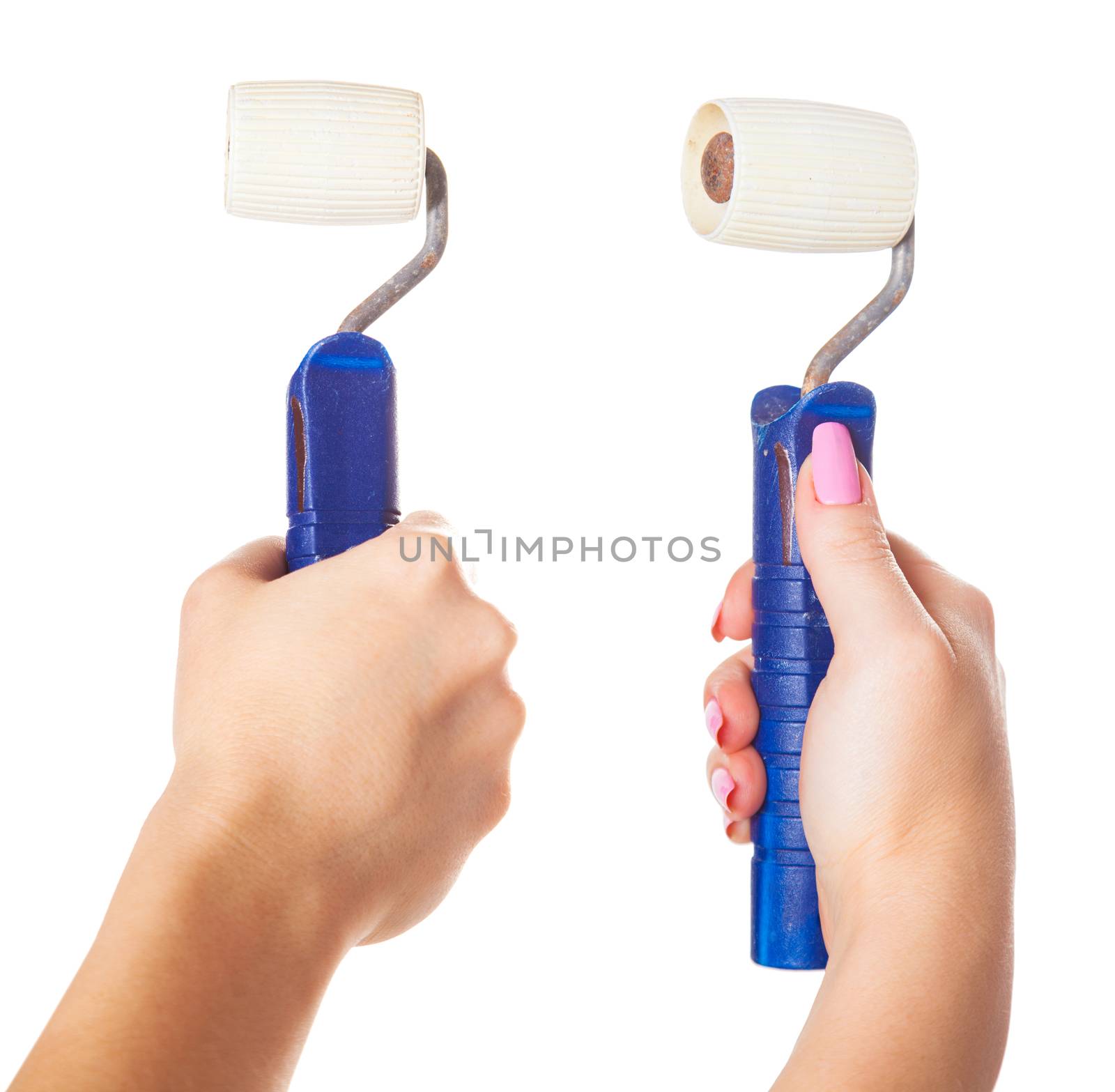 two rolls, isolated white background