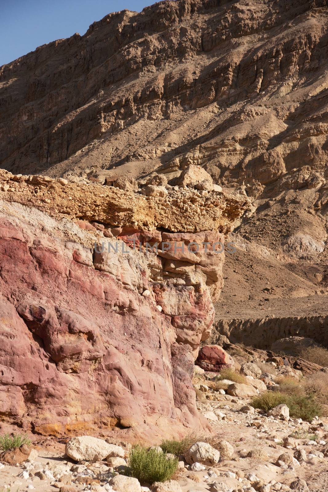 Hiking in Negev desert  of Israel - holiday tourism