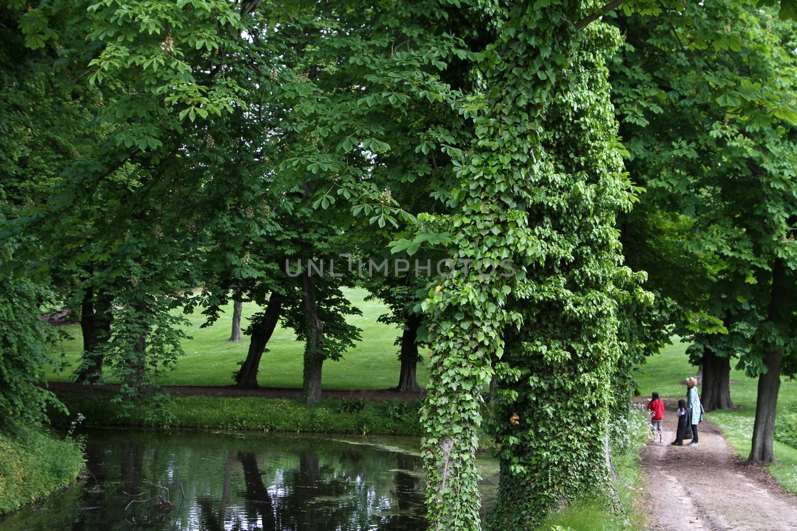 Svenborg in the Fyn island in Denmark