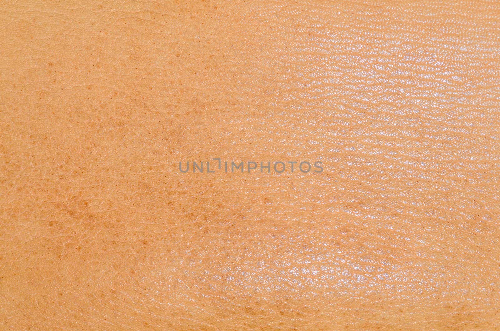 Natural brown leather. Animal skin Stretched. As a background.