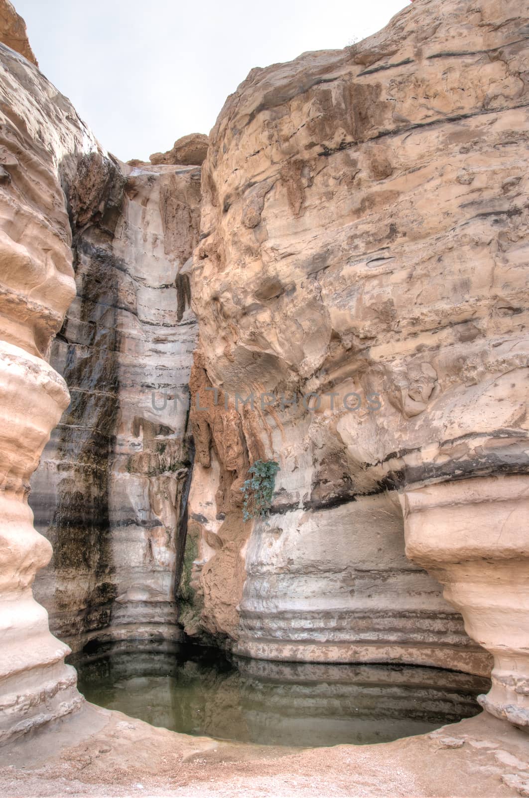 Oazis with water in the negev desert of israel