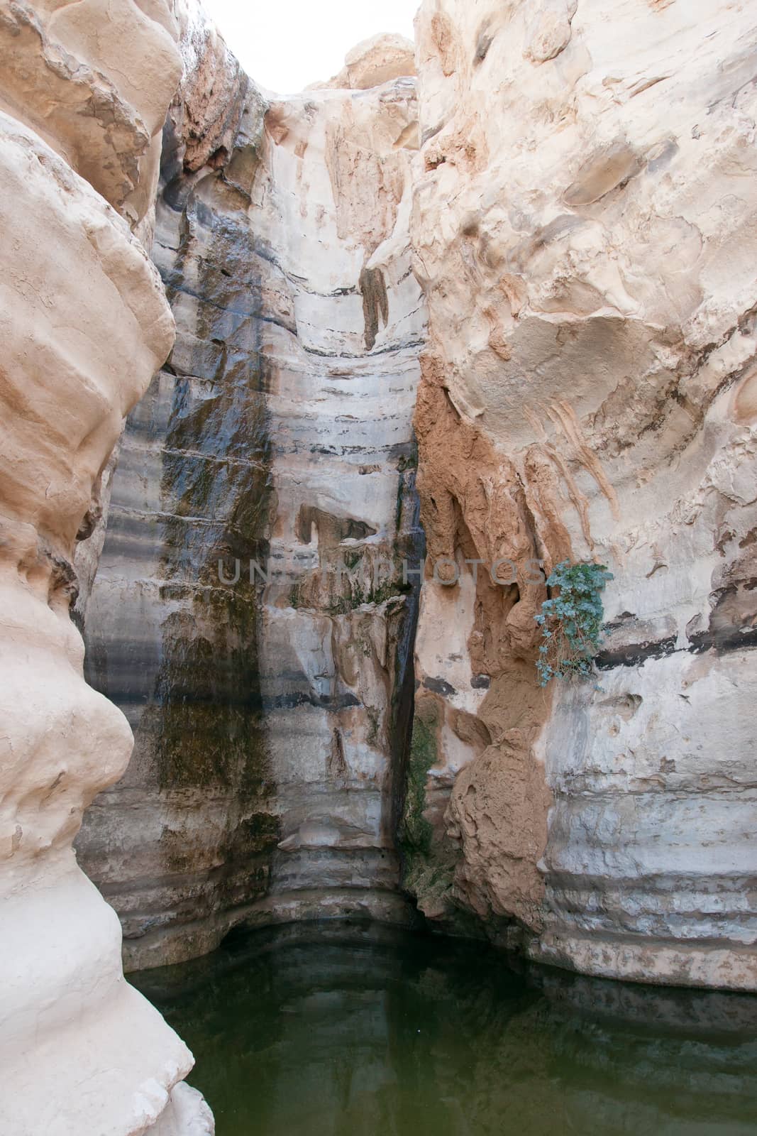 Oazis with water in the negev desert of israel