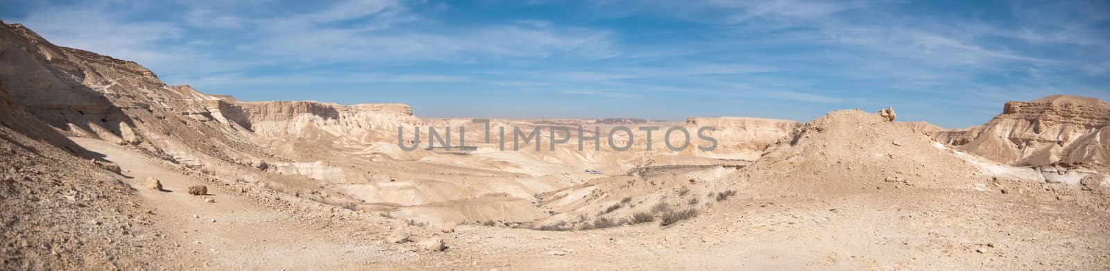 Negev Desert panoramic view by javax