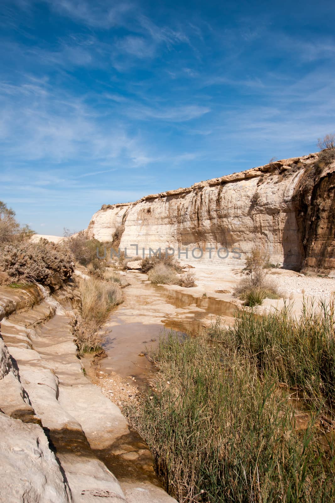 Oazis with water in the negev desert of israel