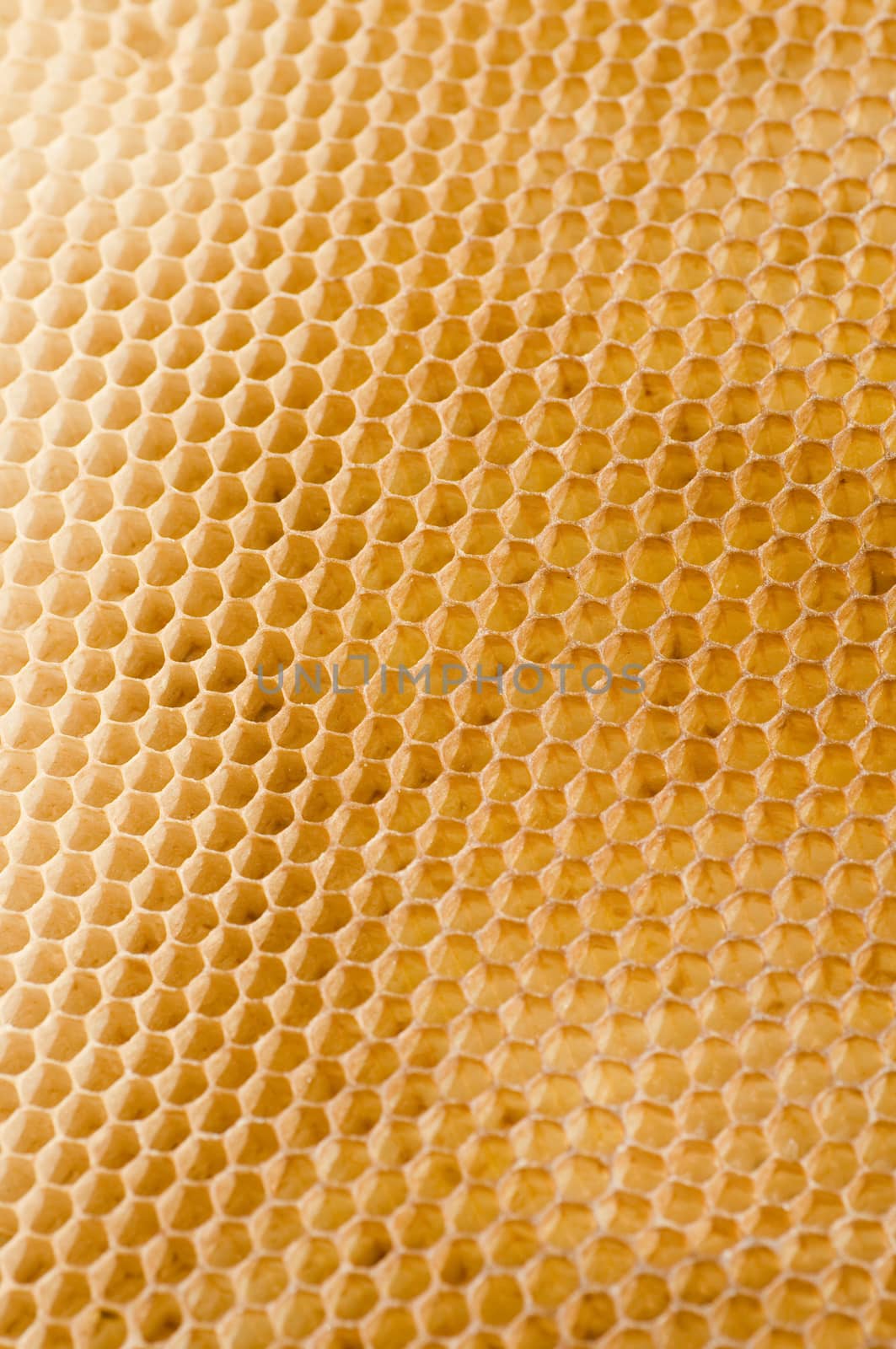 Honeycomb  by Digifoodstock