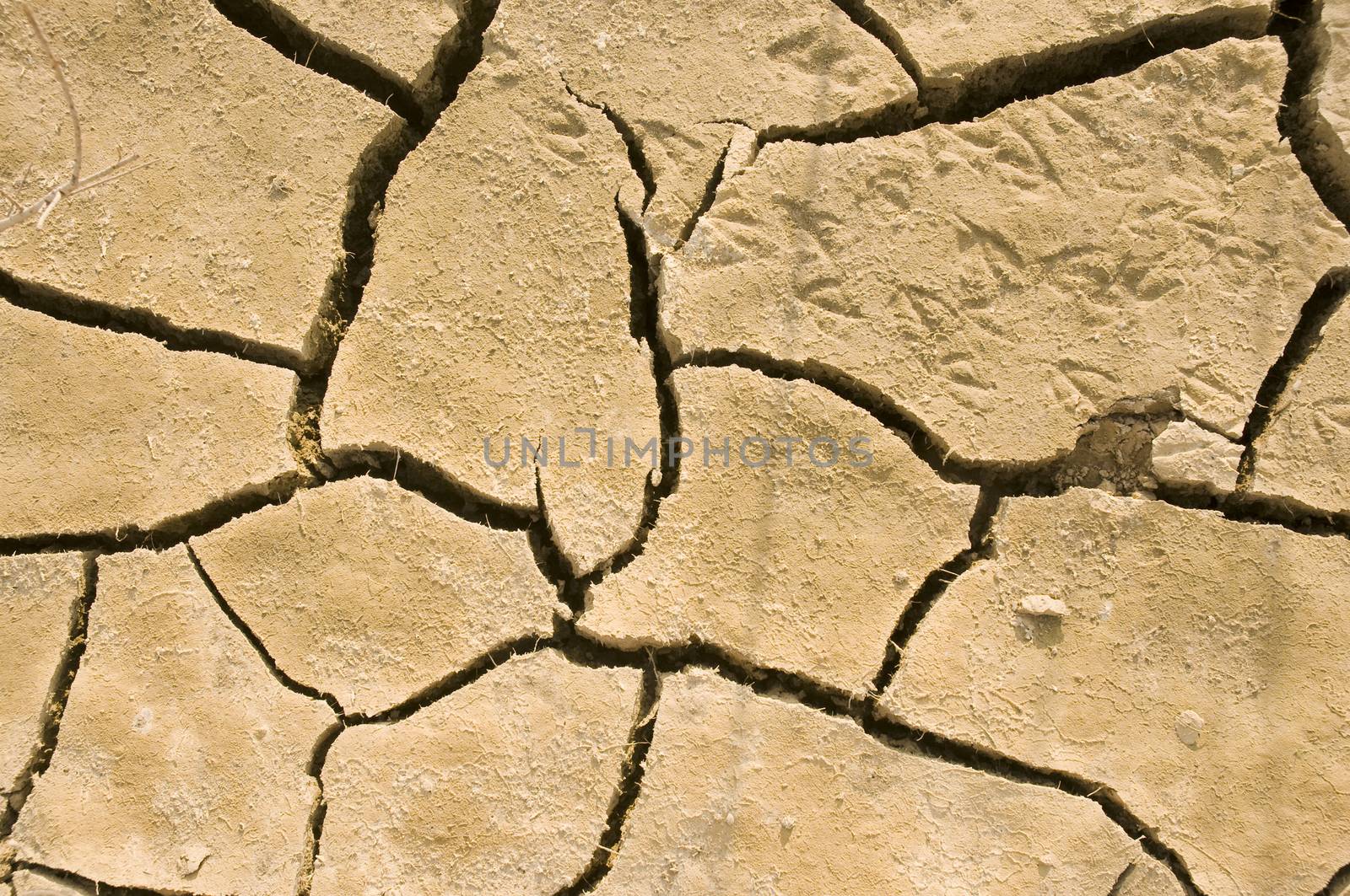 Cracks in dry earth by Digifoodstock