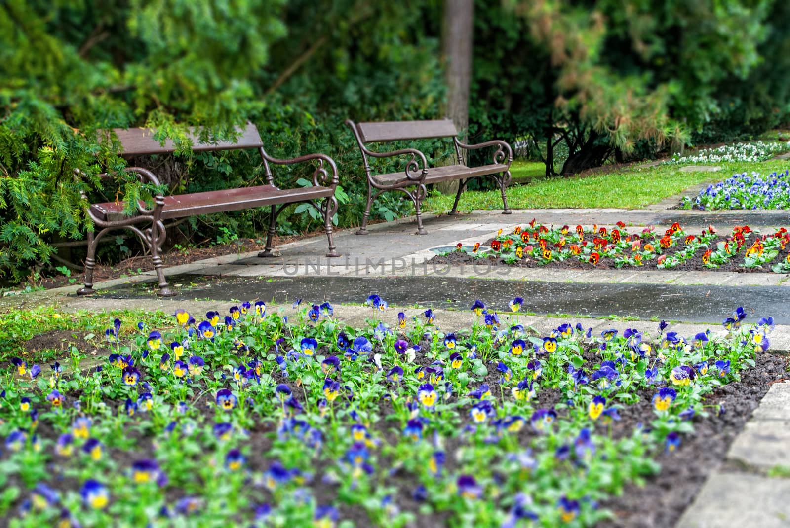 Stylish bench in summer park by Zhukow