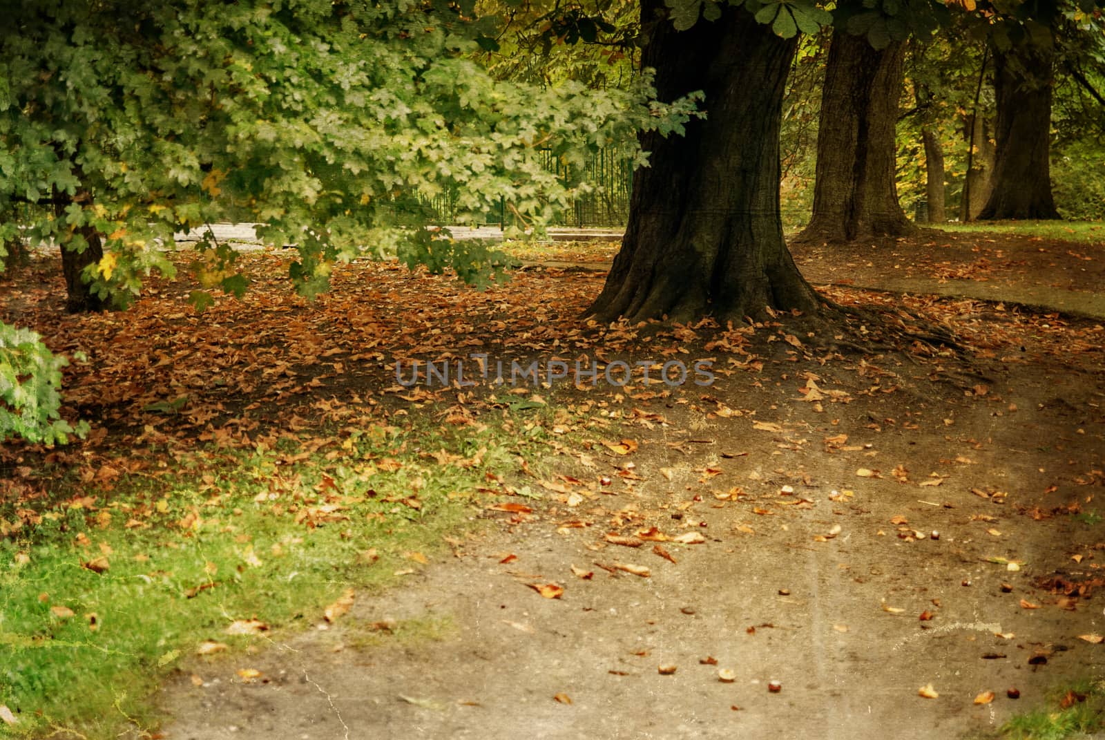 Autumn park, vintage style textured in old color