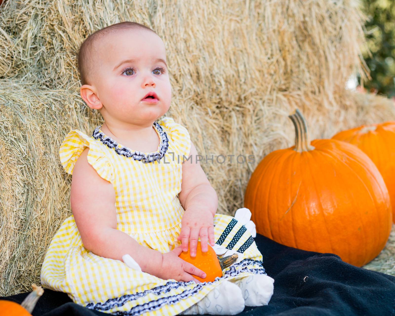 Adorable Baby in Autumn sitting by pumpkins and hay