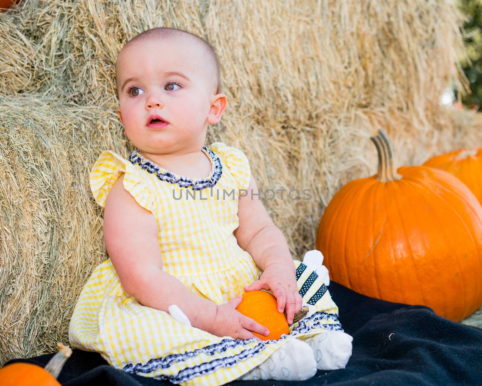 Adorable Baby sitting by pumpkins in the autumn