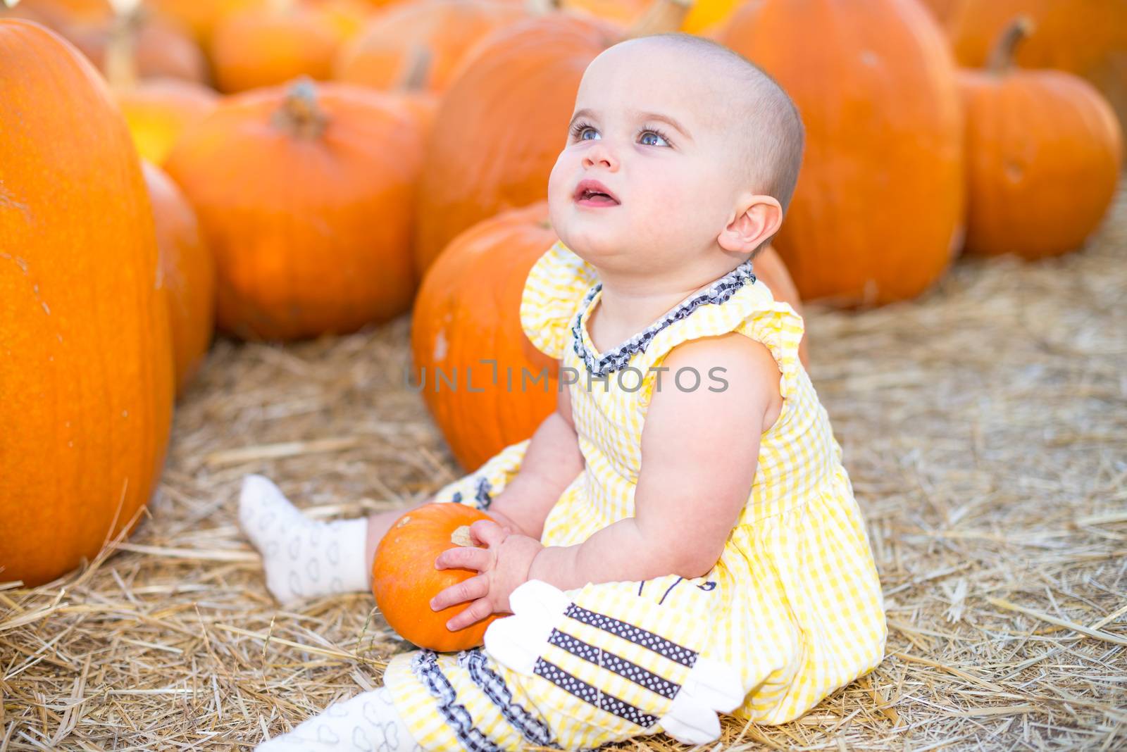 Cute Baby girl sitting on hay in a Pumpkin Patch