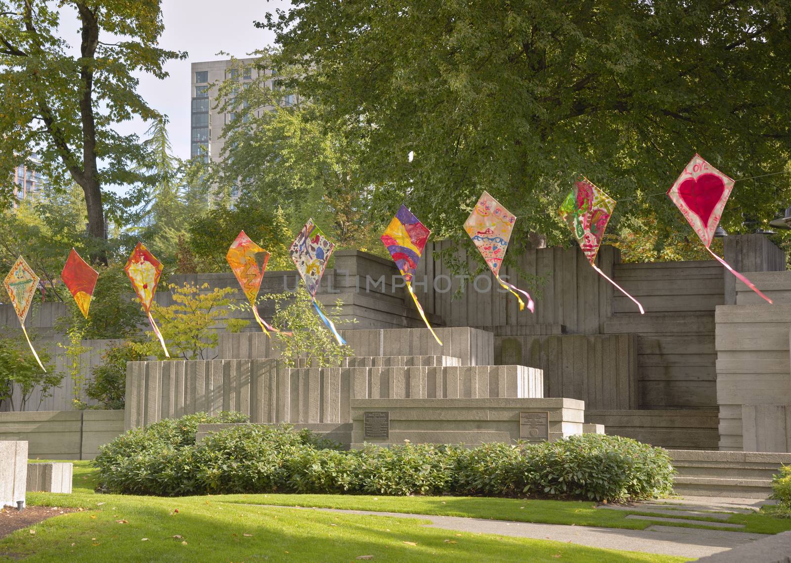 Kites in a public park Seattle WA. by Rigucci