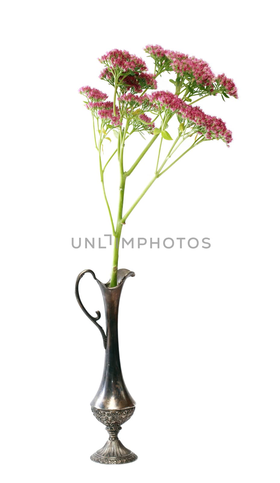 Twig of red wildflowers in nice metal vase on white background