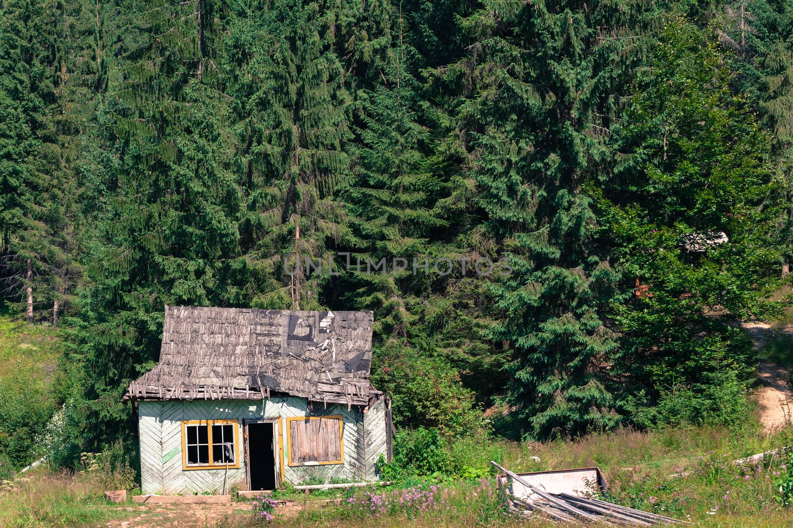old wooden house in the Carpathian forest