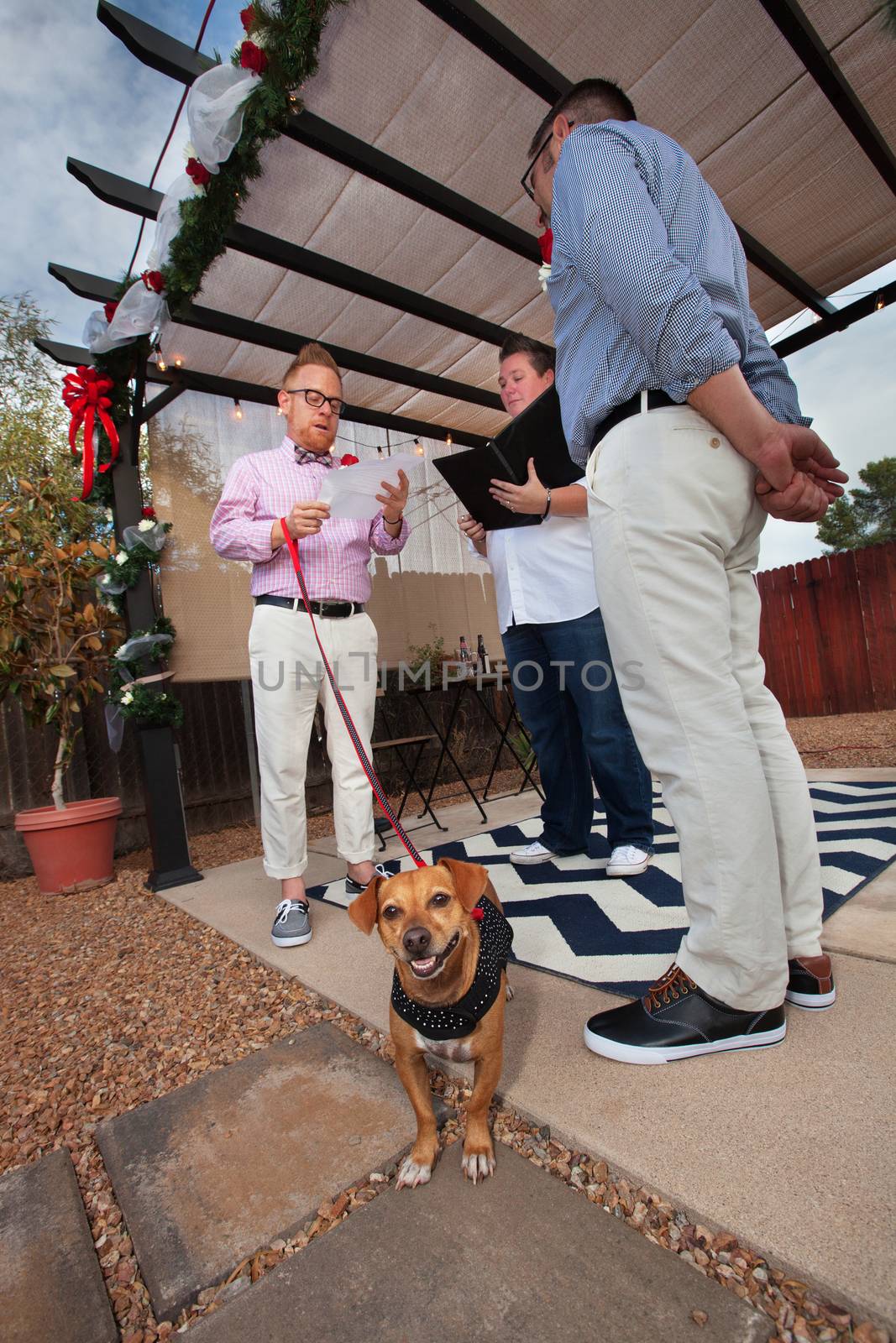 Dog on leash in marriage of gay men outdoors