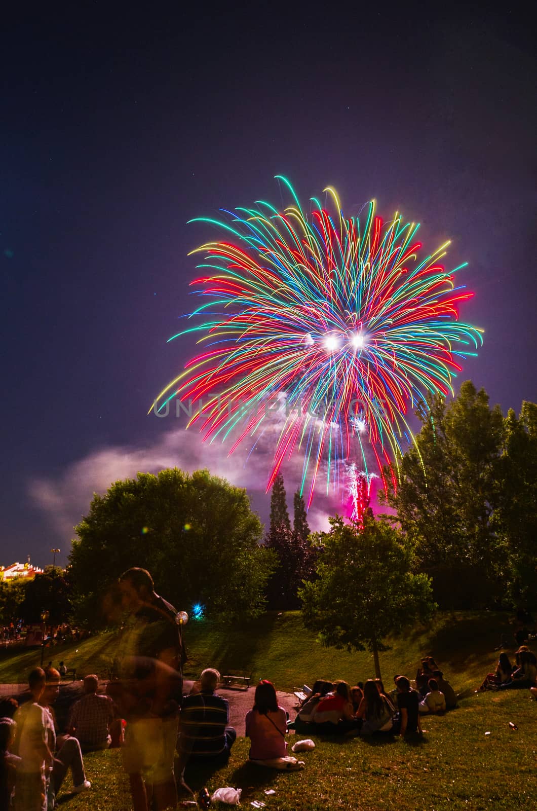 Very beautiful firework in to the sky of Pamplona/ Spain in celebrating