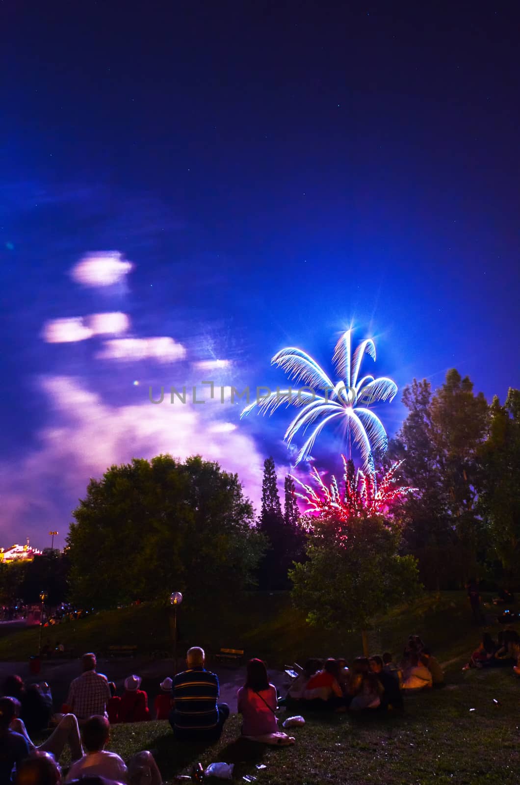 Very beautiful firework in to the sky of Pamplona/ Spain in celebrating