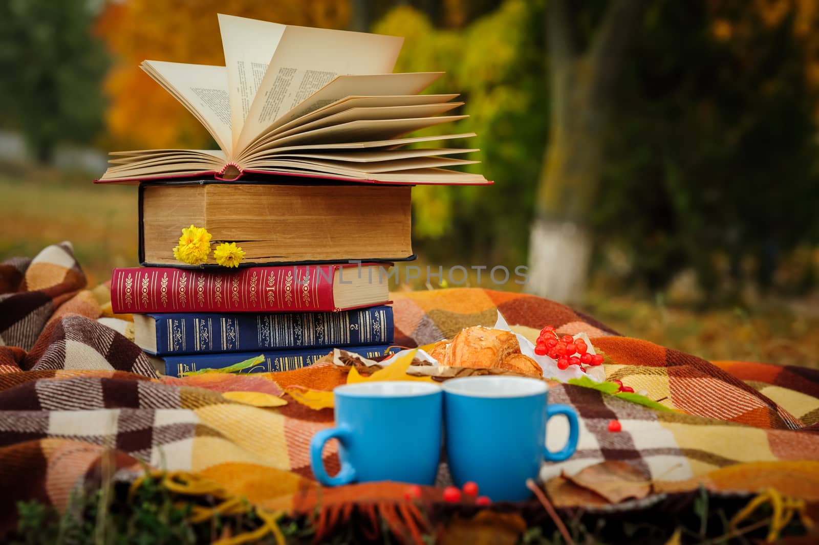 Romantic autumn still life with books, plaid, croissant, coffee cups and leaves