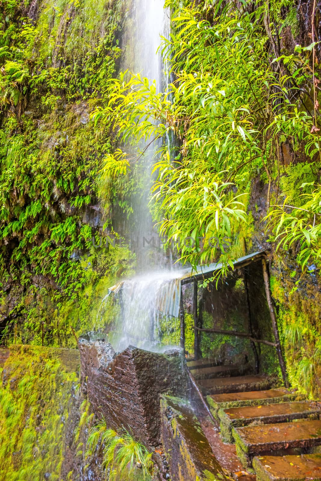 tropical waterfall on hike trail Levada do Central da Ribeira da Janela, Madeira island