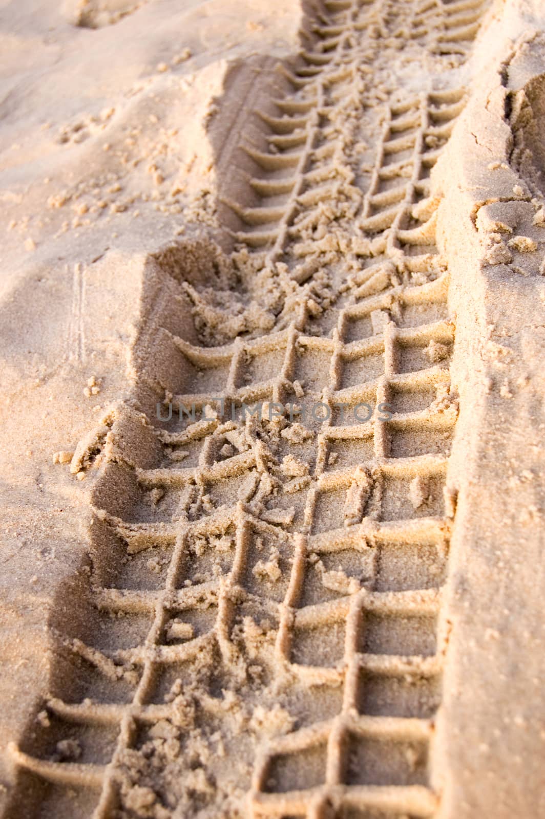 Ruts in sand on beach.