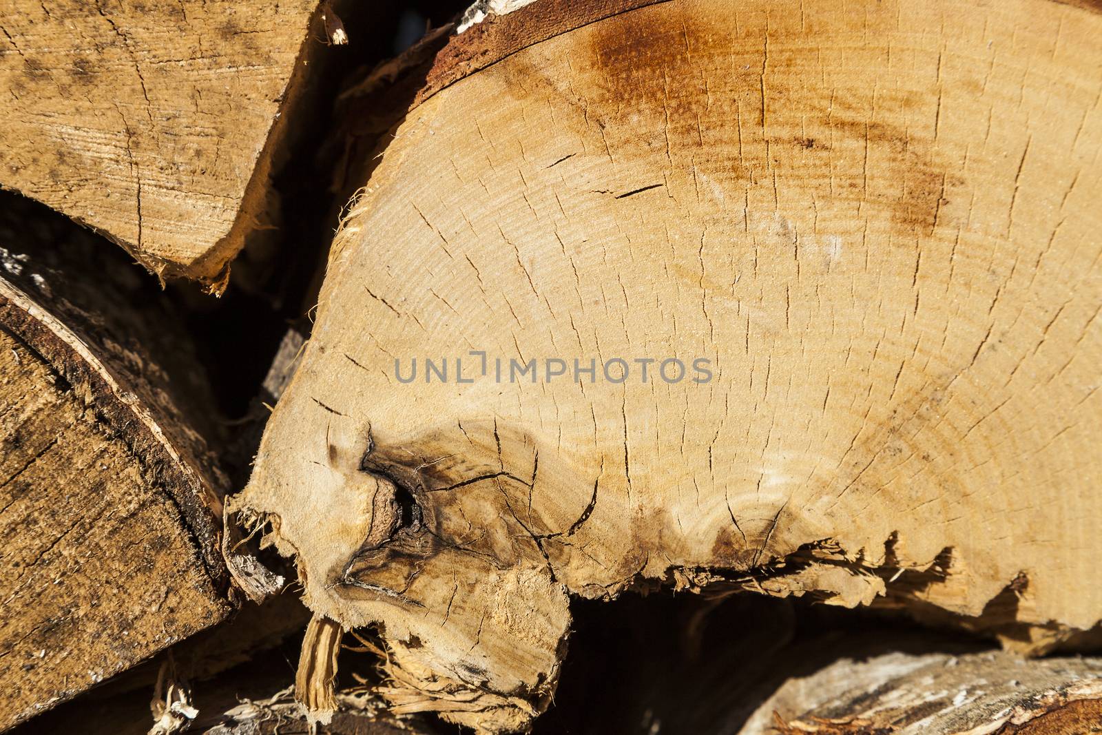 Texture of wood by hanusst