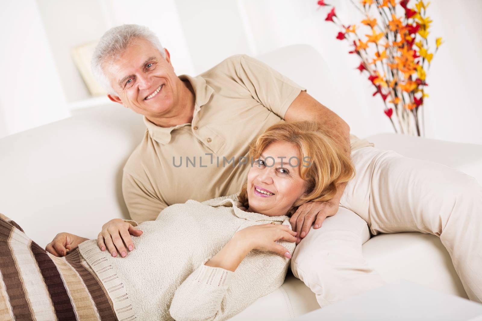 Hugging Senior couple in living room.