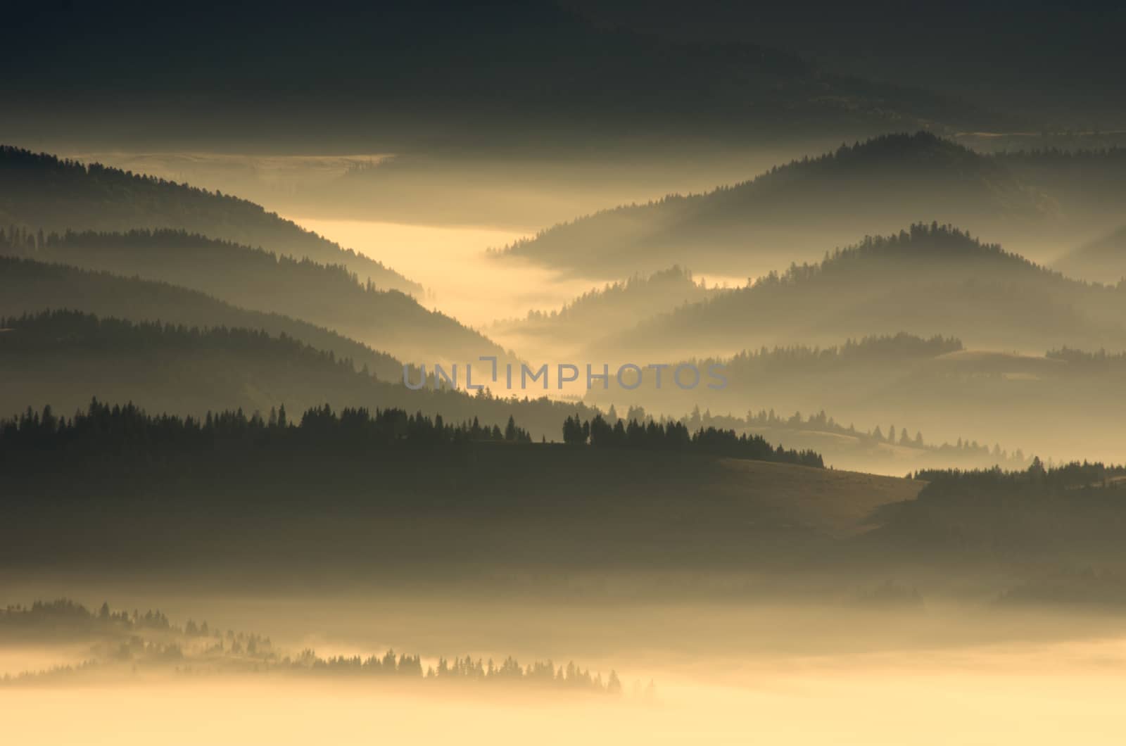 evening mountain plateau landscape (Carpathian, Ukraine) 