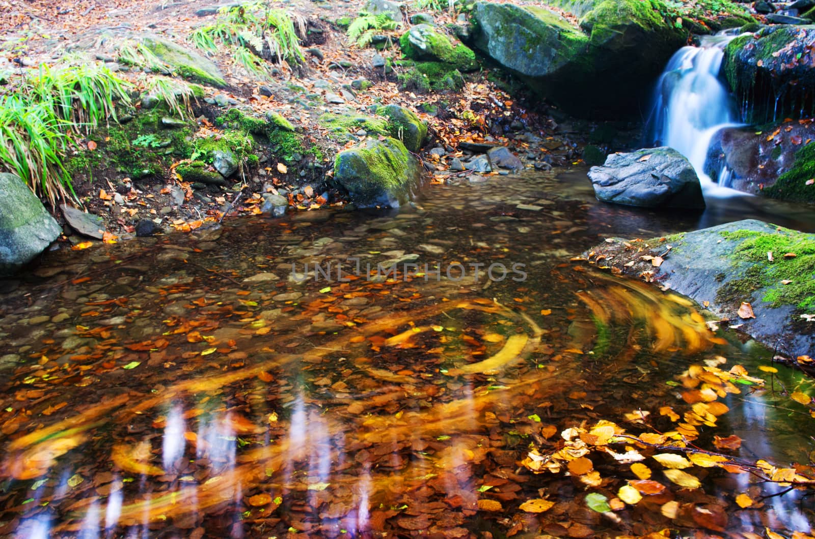 beautiful waterfall scene, ukraine carpathian shipot waterfall