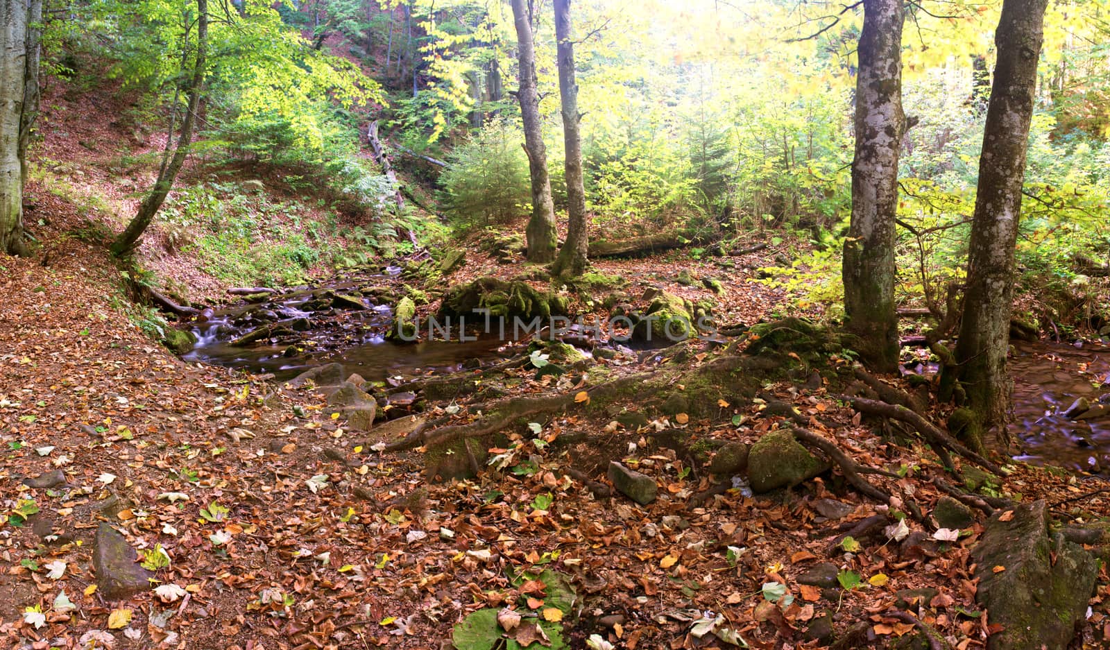 beautiful waterfall scene, ukraine carpathian shipot waterfall