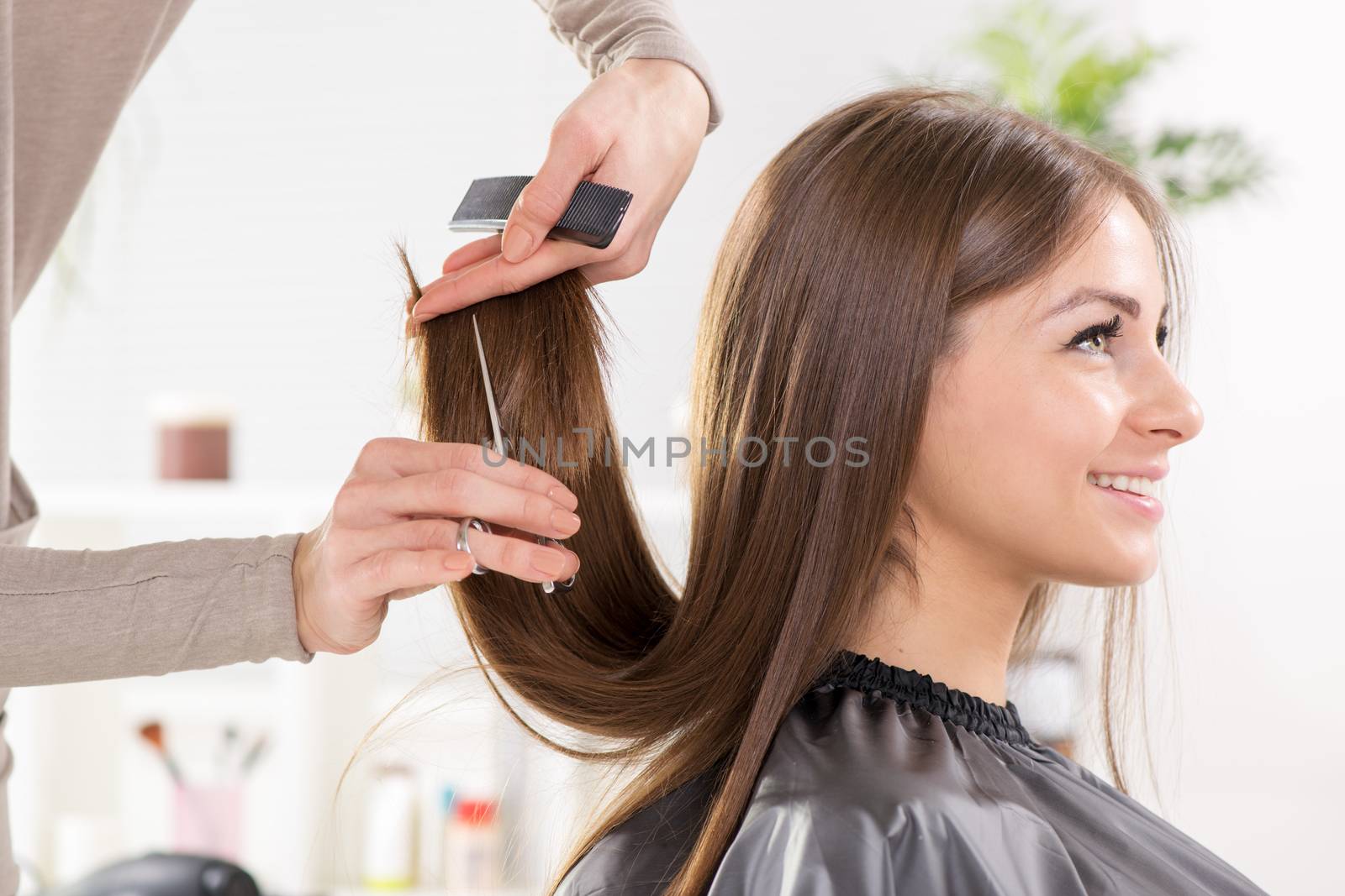 Young beautiful woman having her hair cut at the hairdresser's.