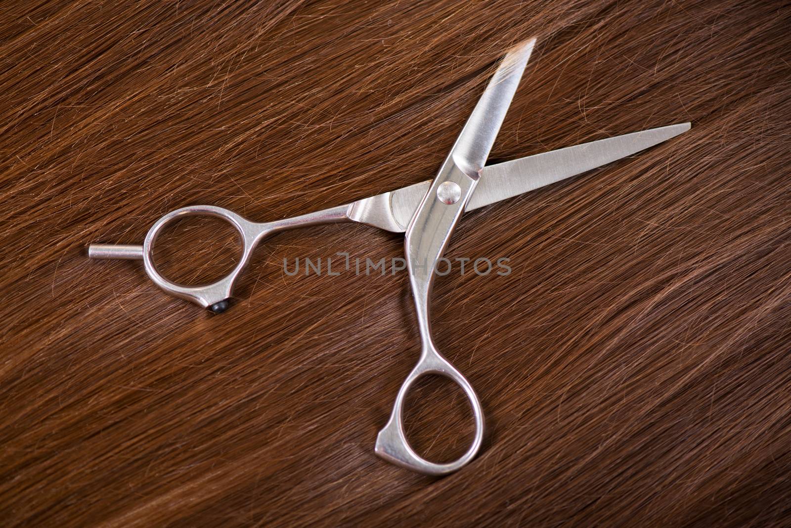 Beautiful healthy shiny hair and professional scissors.