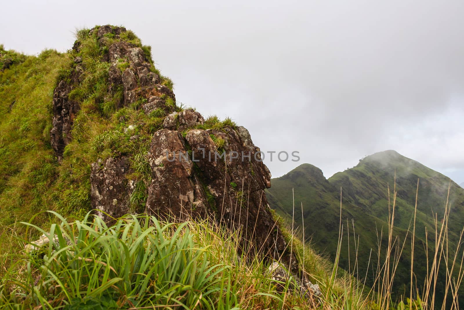 Trail for cliff to peak in the forest of  Khao Chang Puak mounta by ngungfoto