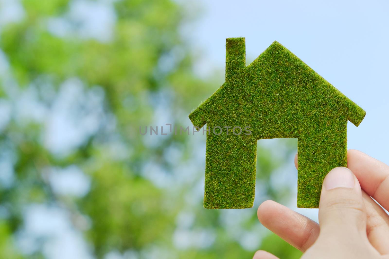 hand holding eco house icon concept