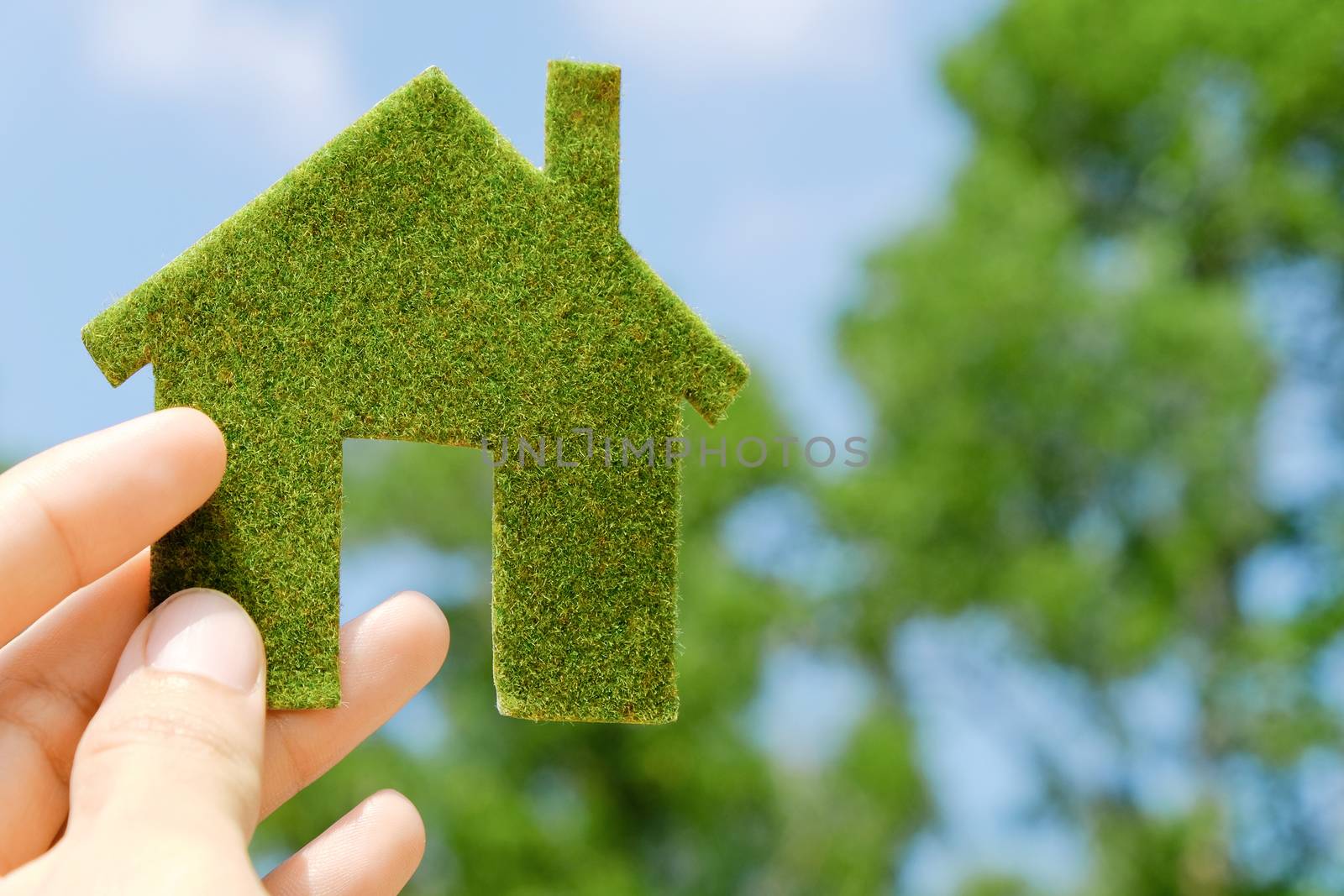 hand holding eco house icon concept