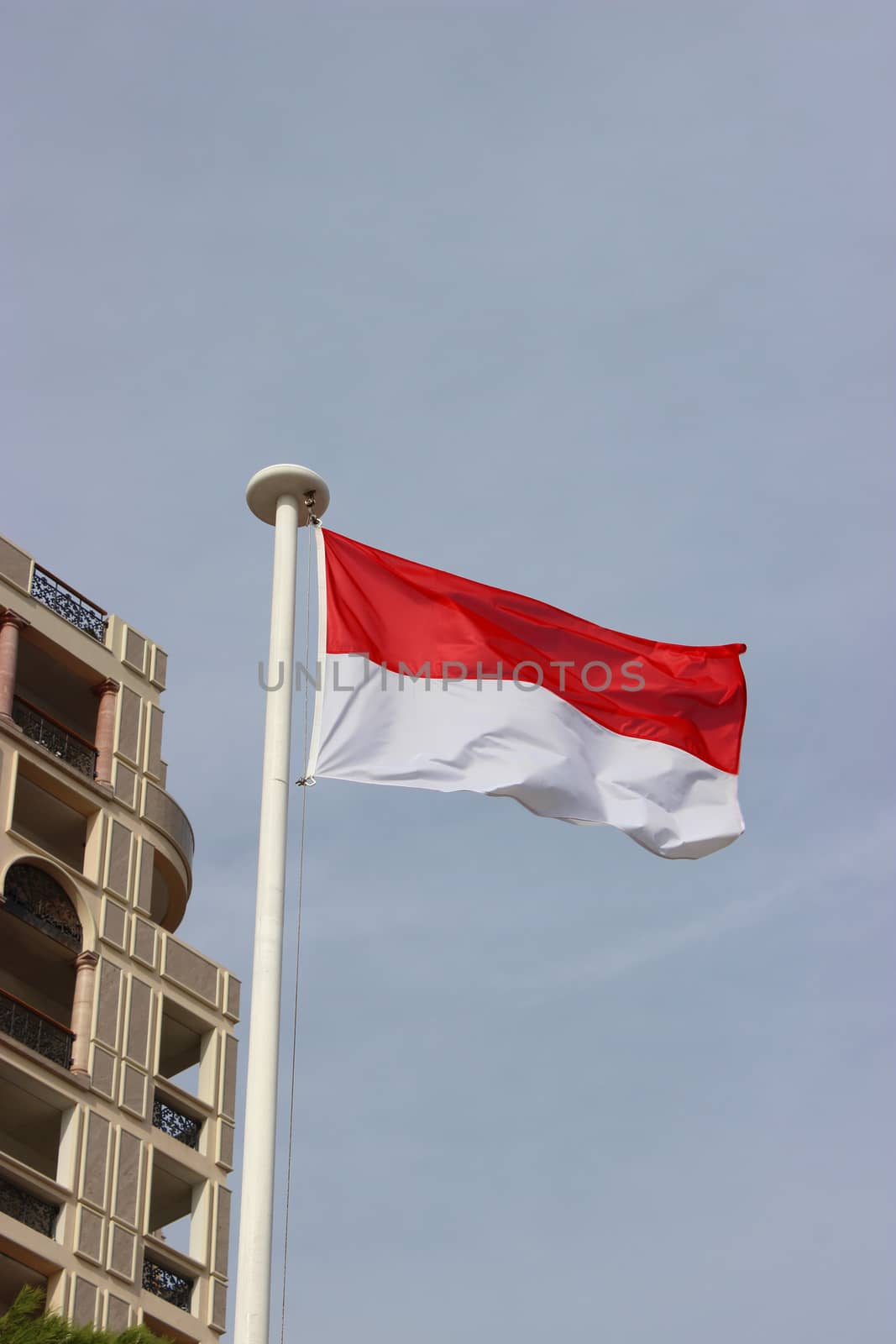 The National Flag Of The Principality Of Monaco
