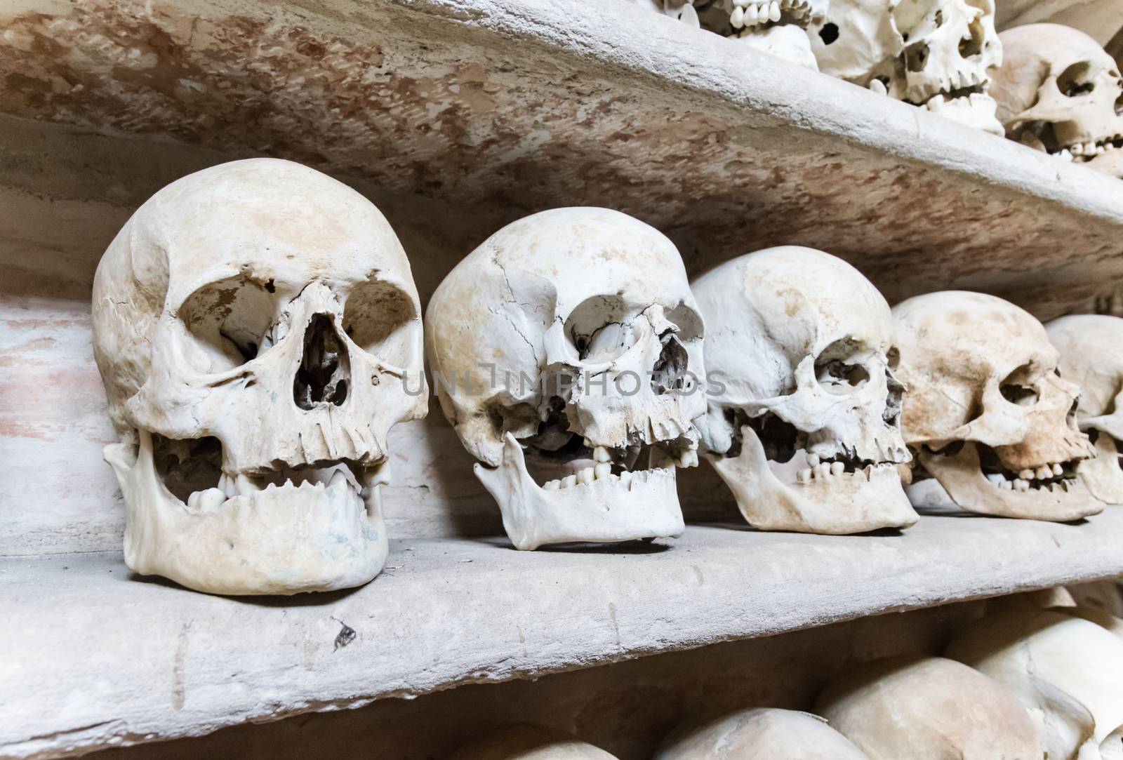 Human skulls found  inside a Christian catacomb.