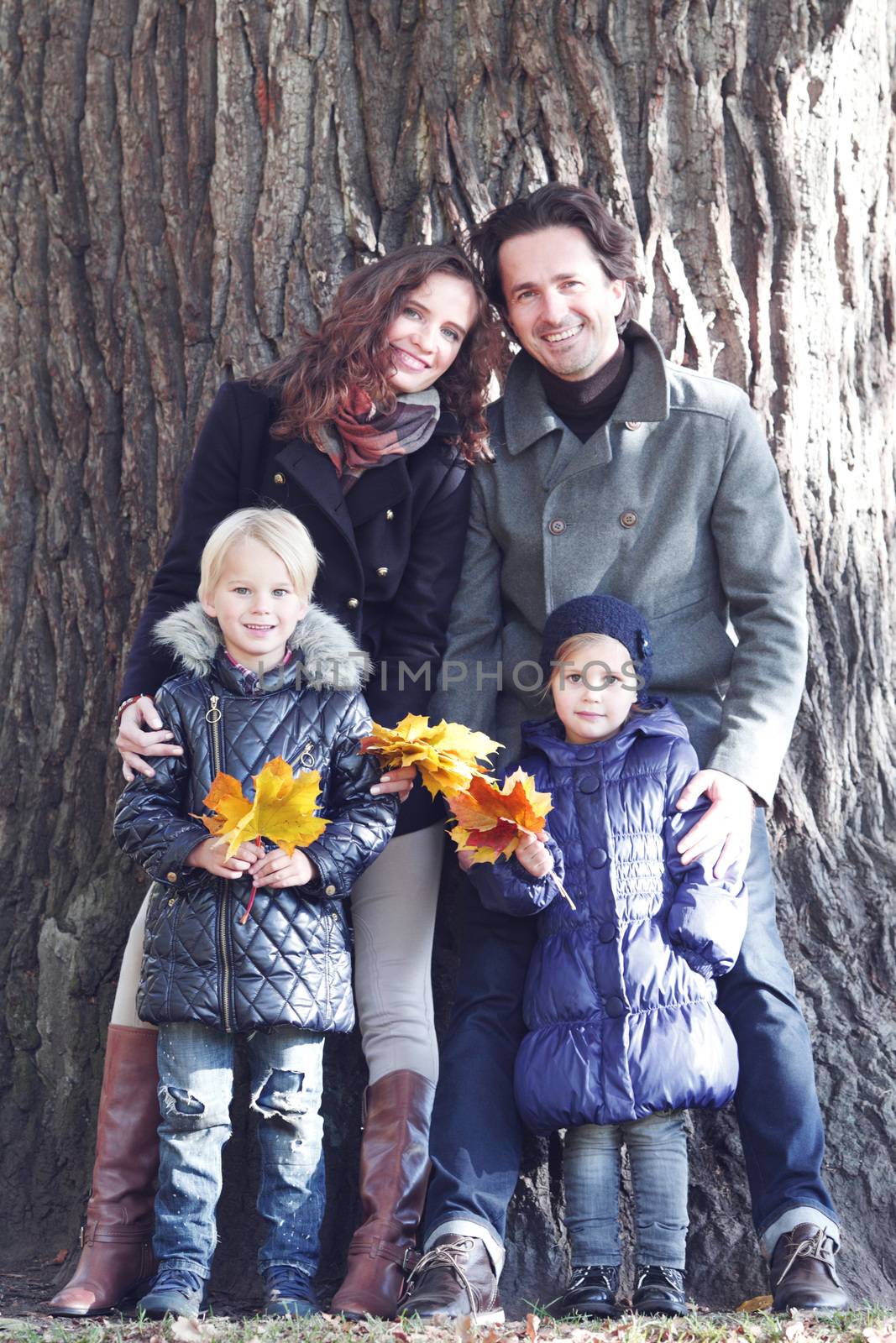 Happy family portrait on big tree background with maple leaves