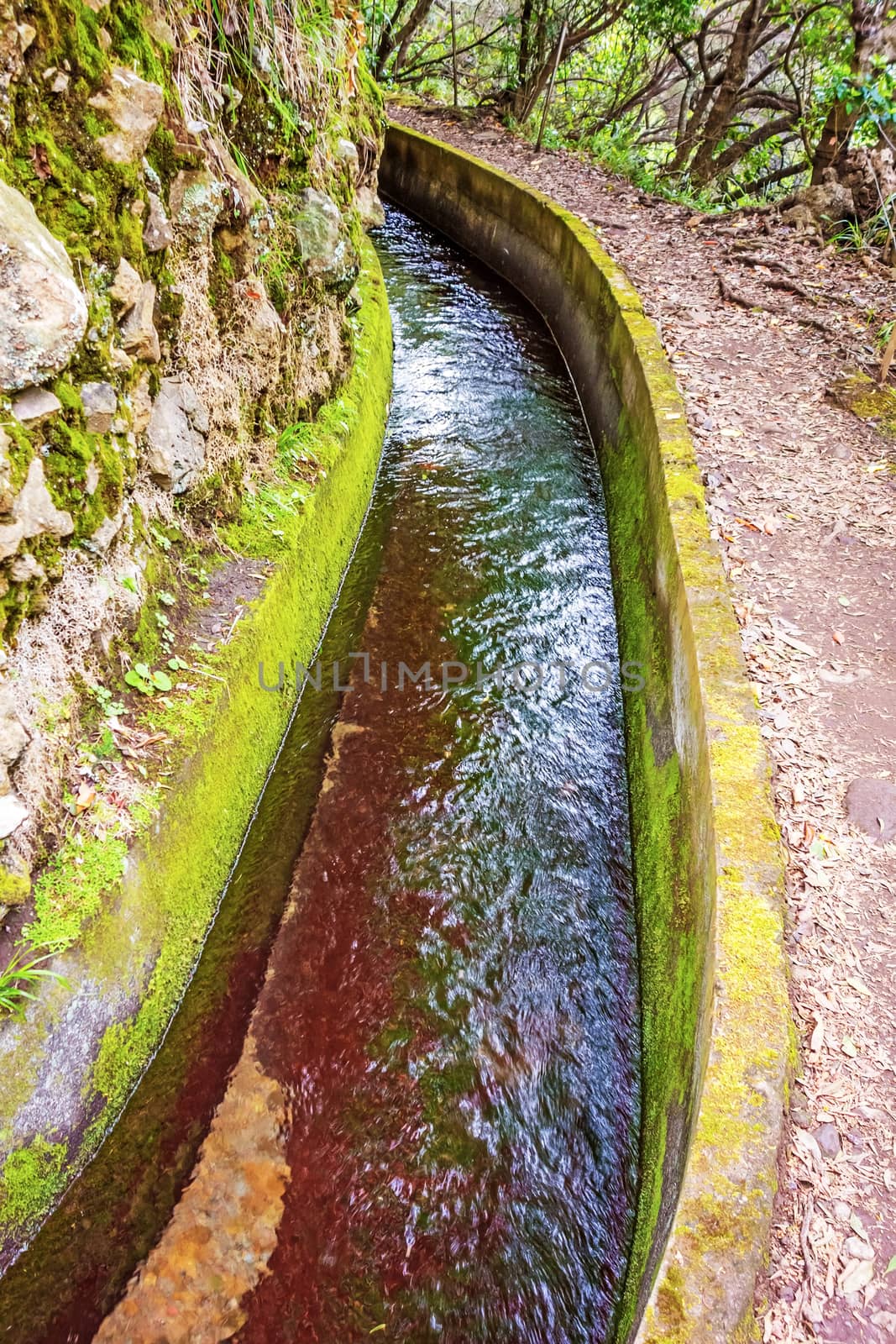Irrigation channel (Levada) - water supply of the Island Madeira