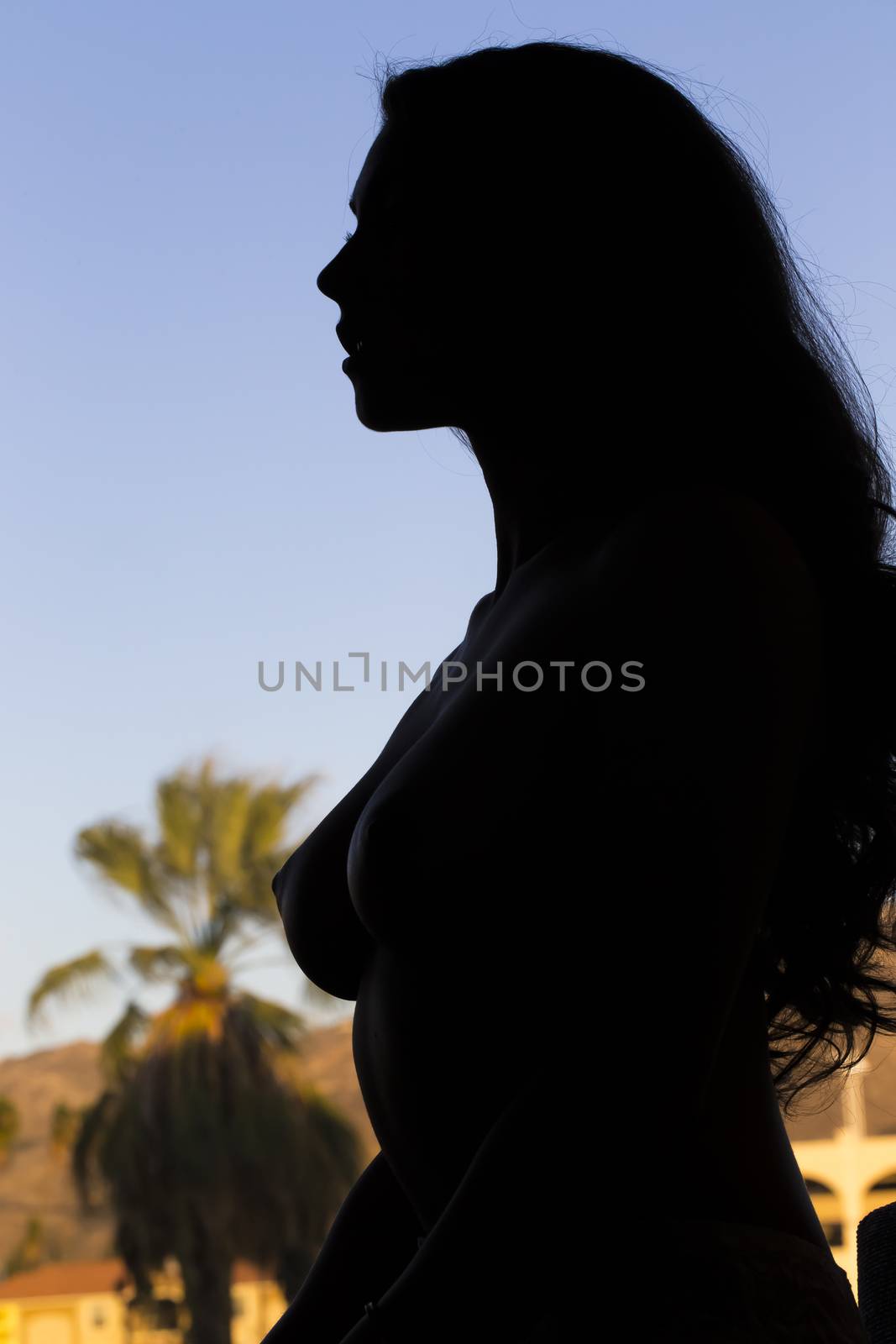 Young Silhouette Model at Home by actionsports