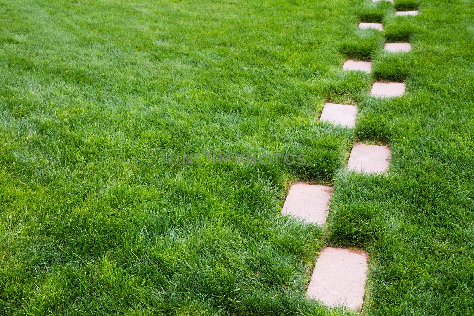 Where does this path take you?