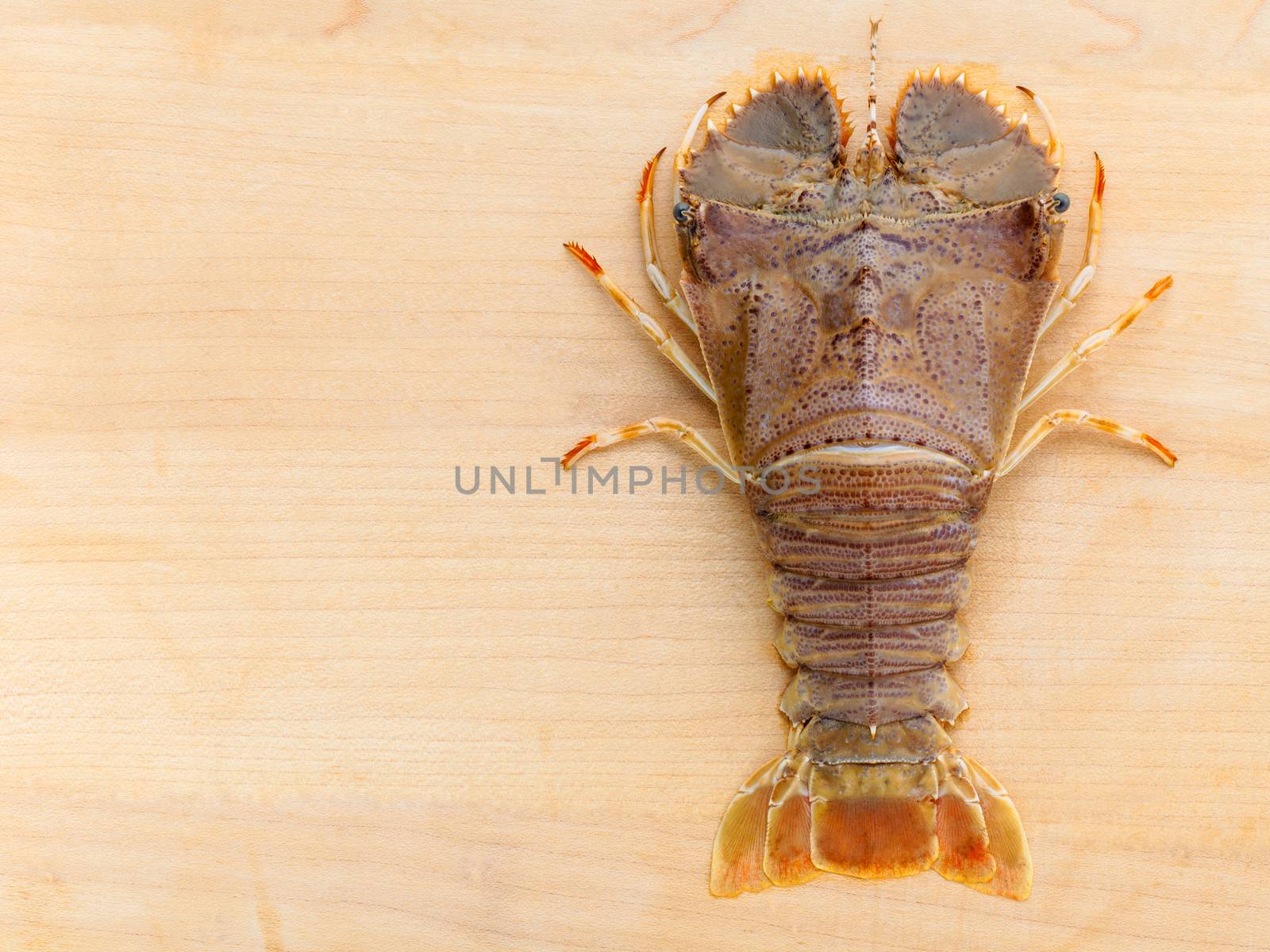 Raw Flathead lobster, Lobster Moreton Bay bug, Oriental flathead lobster on wooden background.